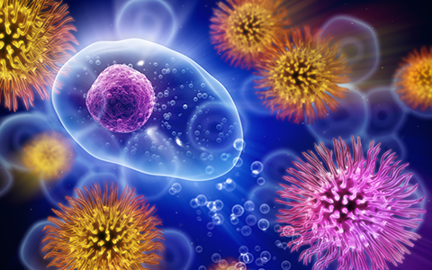microscopic images of cells